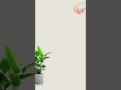 셀룰러 블라인드 비디오