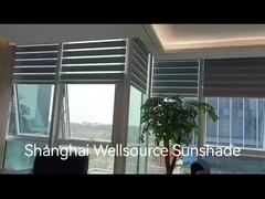 제브라 장막 장면 비디오