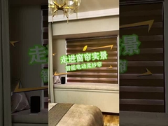 제브라 장막 장면 비디오