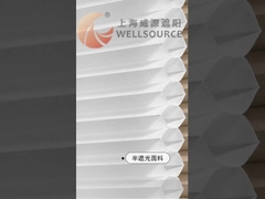 벌집형 블라인드